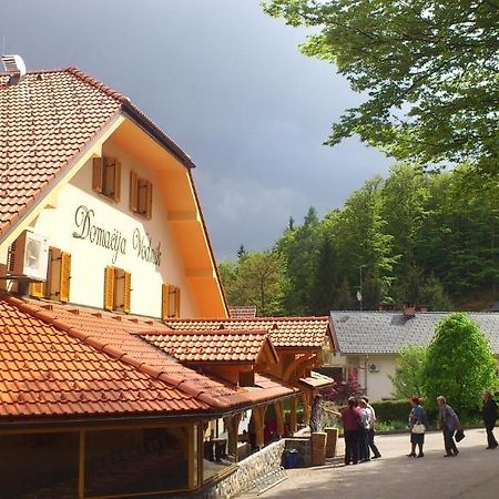 Domacija Vodnik & Apartments Cerklje na Gorenjskem Exterior photo
